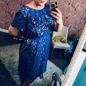 Adrianna Papell Lace Blue Dress (Fully Lined)